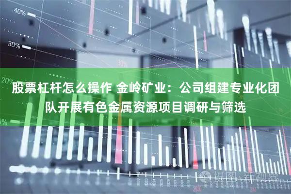 股票杠杆怎么操作 金岭矿业：公司组建专业化团队开展有色金属资源项目调研与筛选