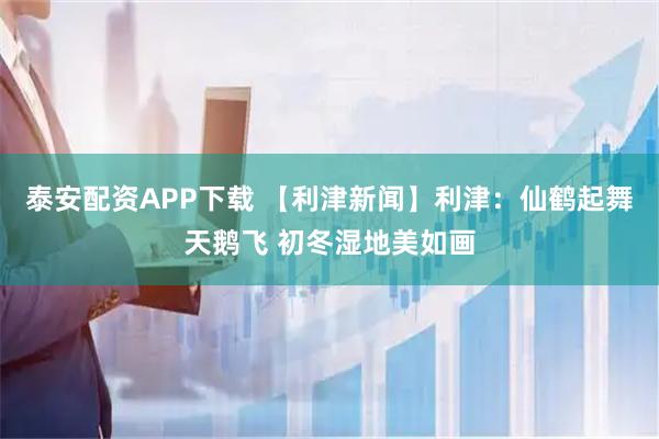 泰安配资APP下载 【利津新闻】利津：仙鹤起舞天鹅飞 初冬湿地美如画