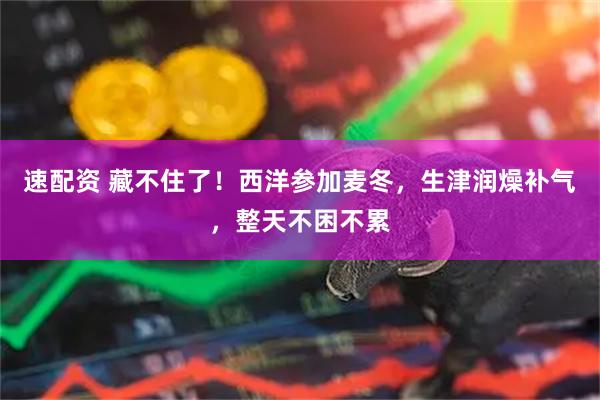 速配资 藏不住了！西洋参加麦冬，生津润燥补气，整天不困不累