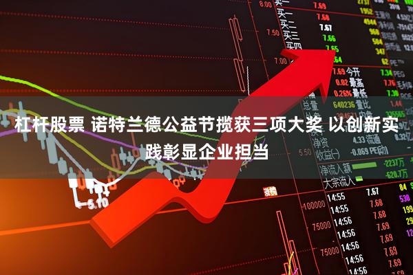 杠杆股票 诺特兰德公益节揽获三项大奖 以创新实践彰显企业担当